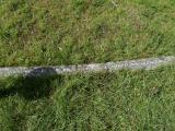 image of grave number 905050